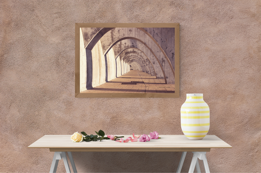 Brown Arches Poster