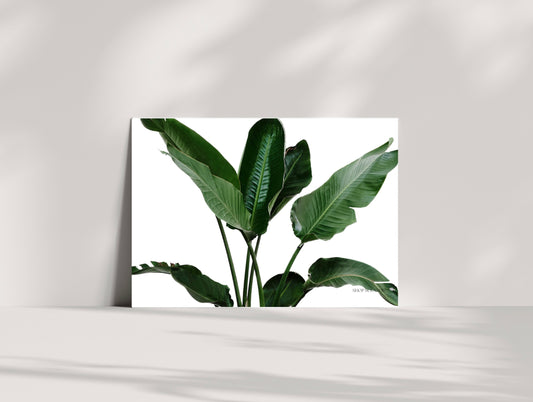 Stylish Plant Poster