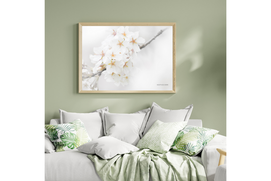 White Flowers Poster