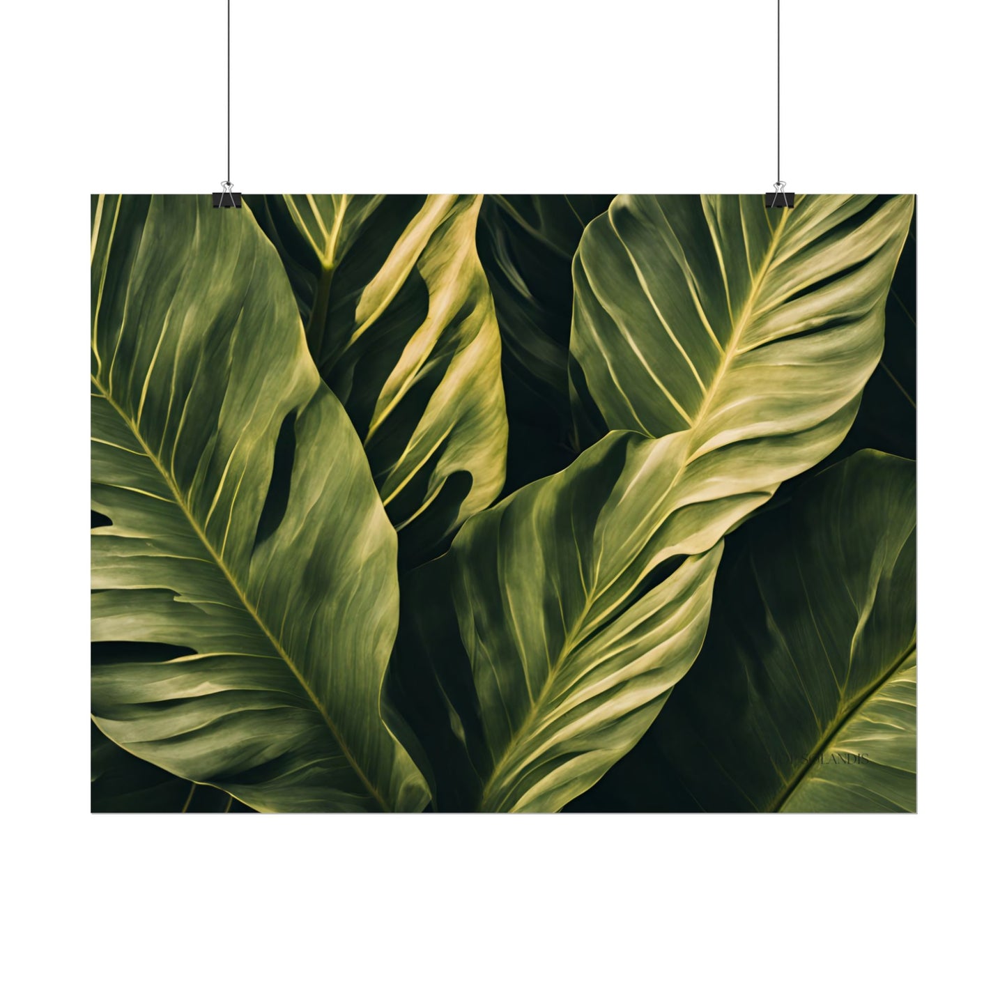 Green Leaf Poster